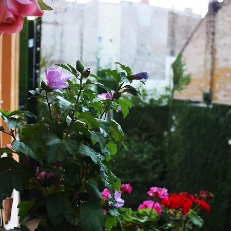 New, Raday Danube Unit 公寓